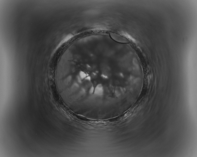 X0000087411255200705041241