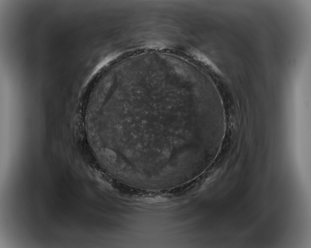X0000087411256200705041241