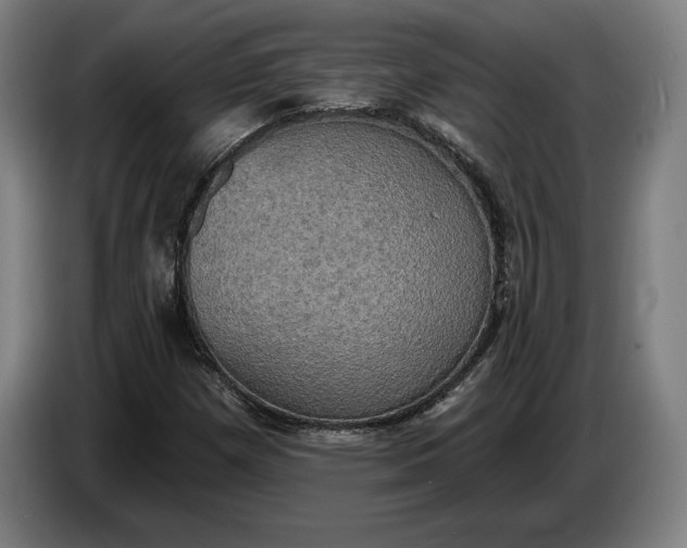 X0000087411257200705041241