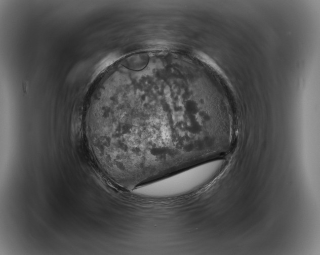 X0000087411259200705041241