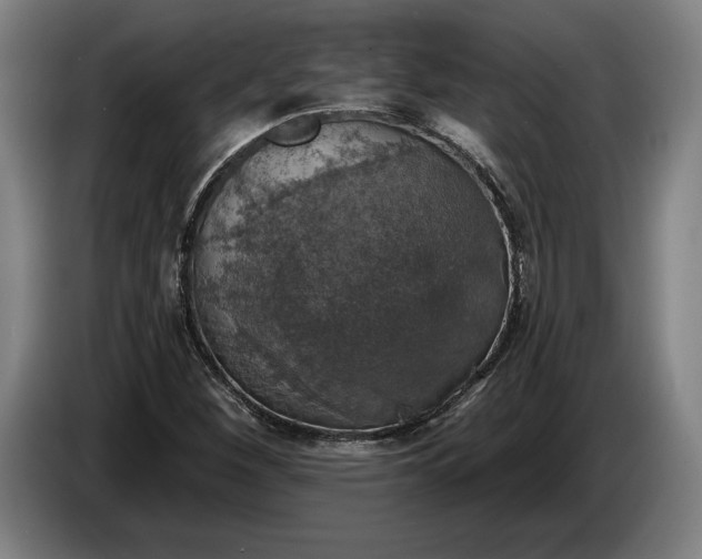X0000087411260200705041241