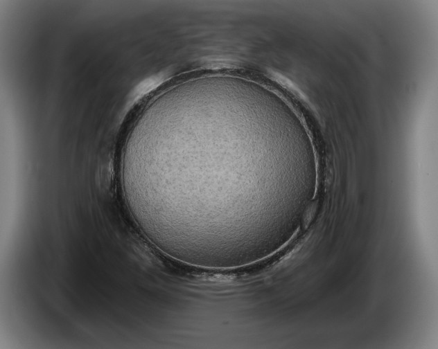 X0000087411261200705041241