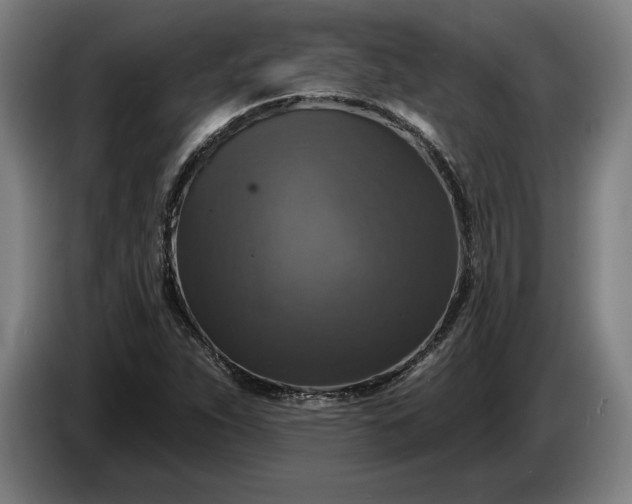 X0000087411263200705041241