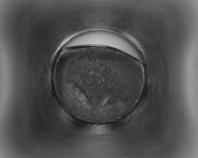 X0000087411264200705041241