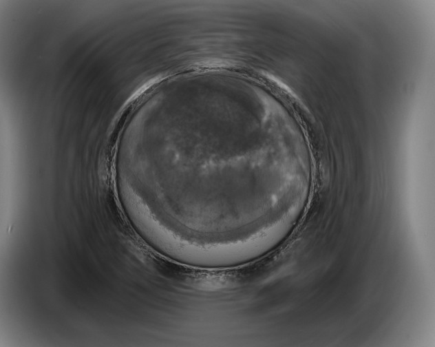 X0000087411266200705041241