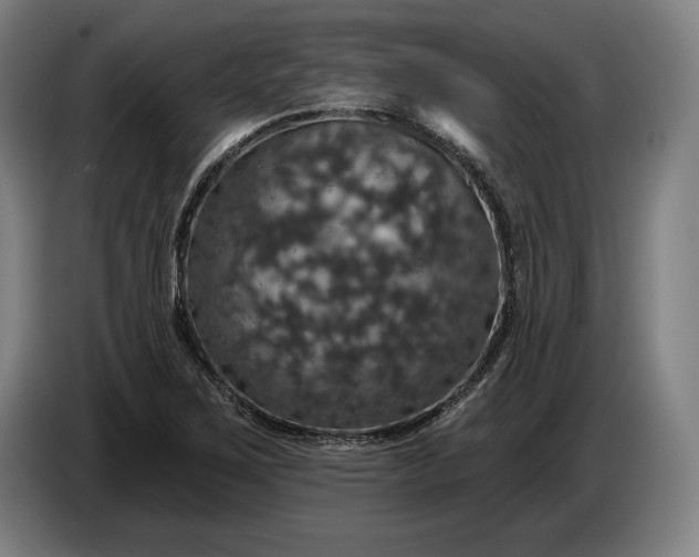 X0000087411267200705041241