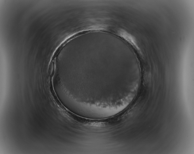 X0000087411268200705041241