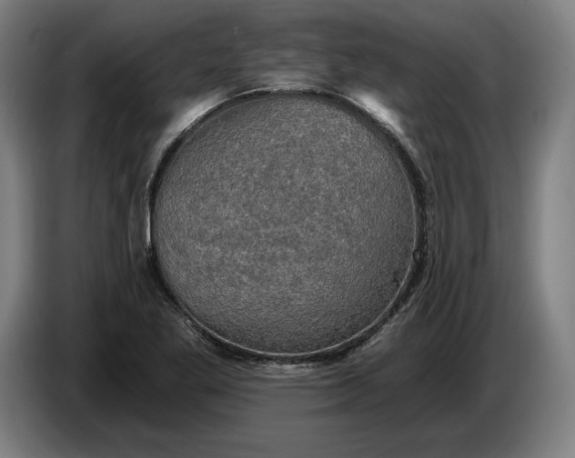 X0000087411269200705041241