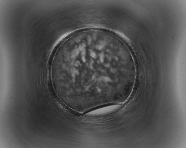 X0000087411271200705041241