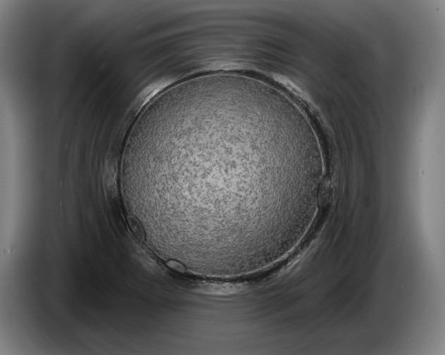 X0000087411273200705041241