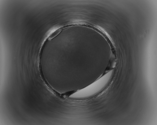X0000087411277200705041240