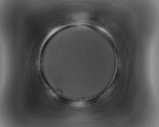 X0000087411278200705041240