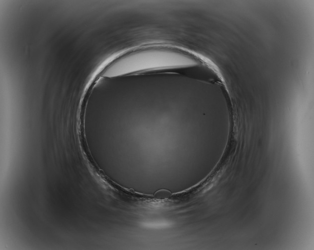 X0000087411279200705041240
