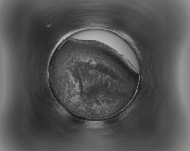 X0000087411280200705041240