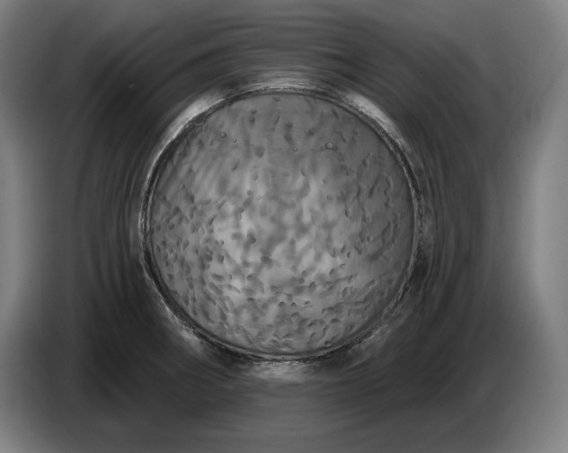 X0000087411282200705041240