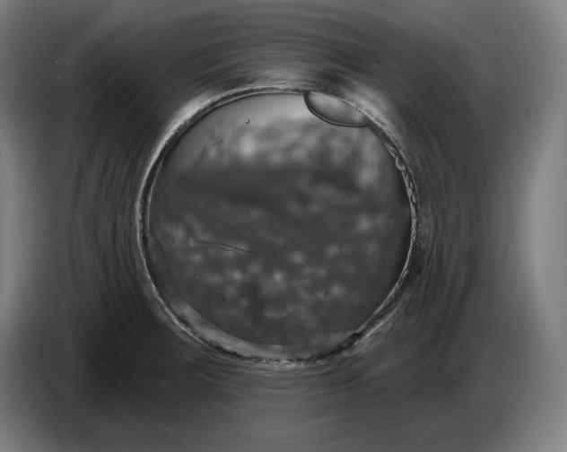 X0000087411283200705041240