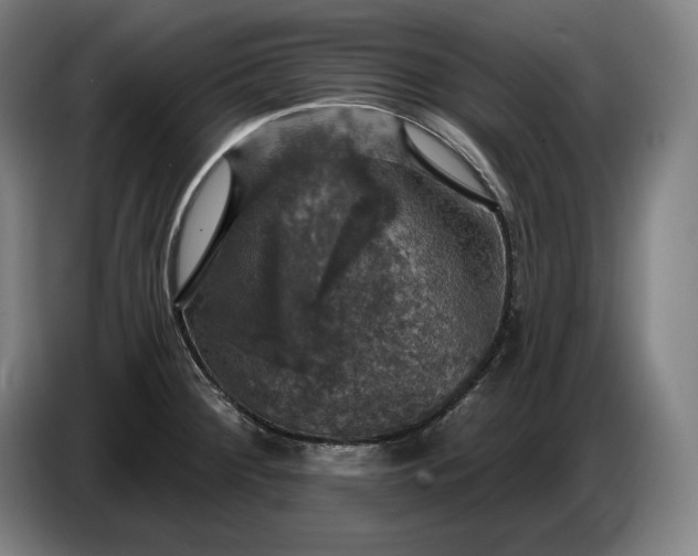 X0000087411284200705041240