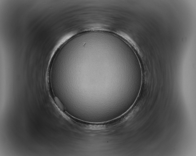 X0000087411285200705041240
