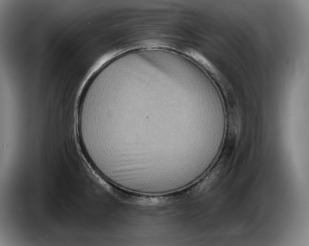 X0000087411286200705041240