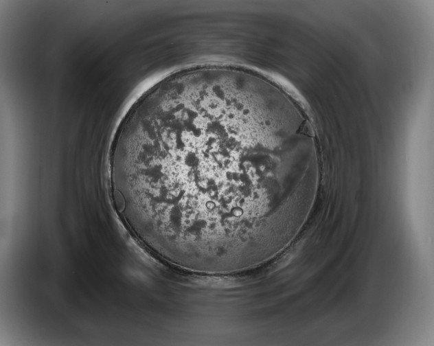 X0000087411287200705041240