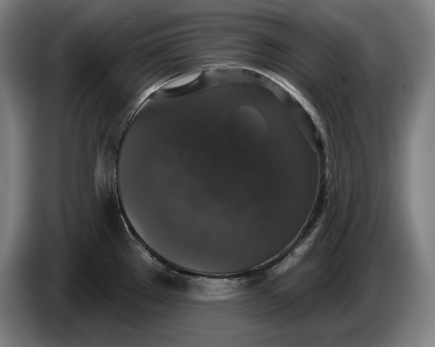 X0000087411289200705041240