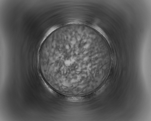 X0000087411290200705041240