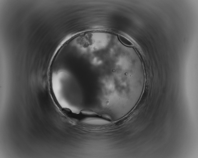X0000087411291200705041240