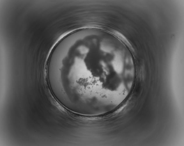 X0000087411292200705041240