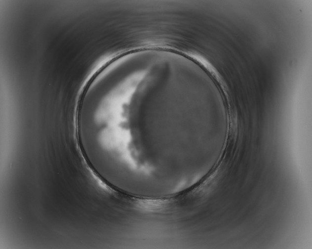 X0000087411294200705041240