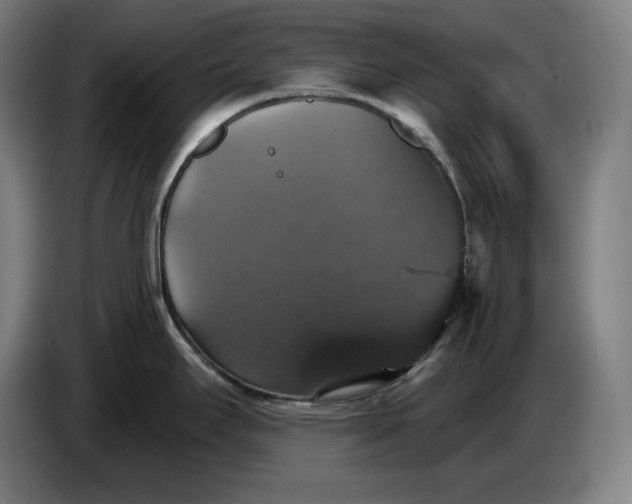 X0000087411295200705041240