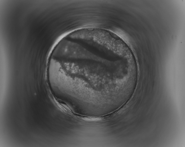 X0000087411296200705041240