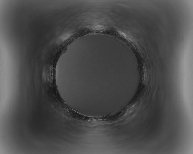 X0000087411301200705041240