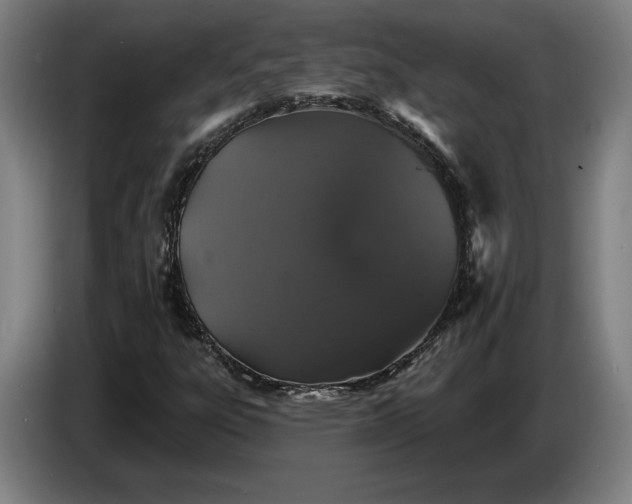 X0000087411303200705041240