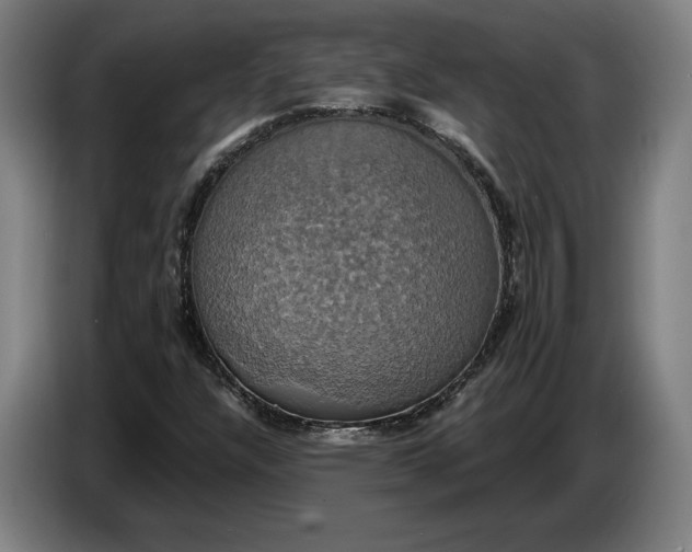 X0000087411304200705041240