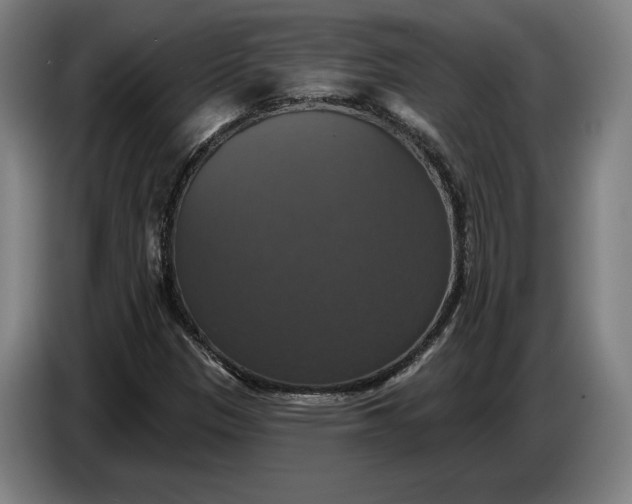 X0000087411305200705041240