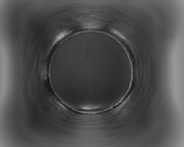 X0000087411306200705041240