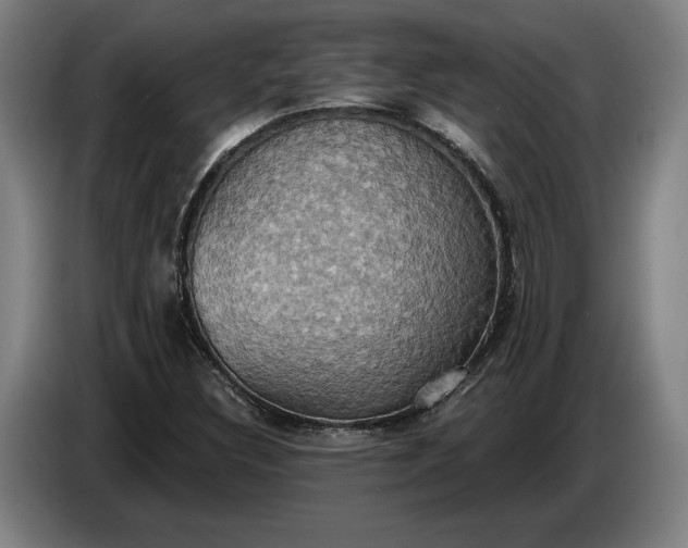 X0000087411308200705041240