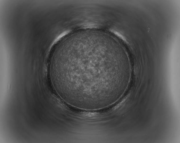 X0000087411309200705041240