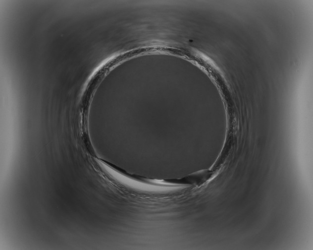 X0000087411310200705041240