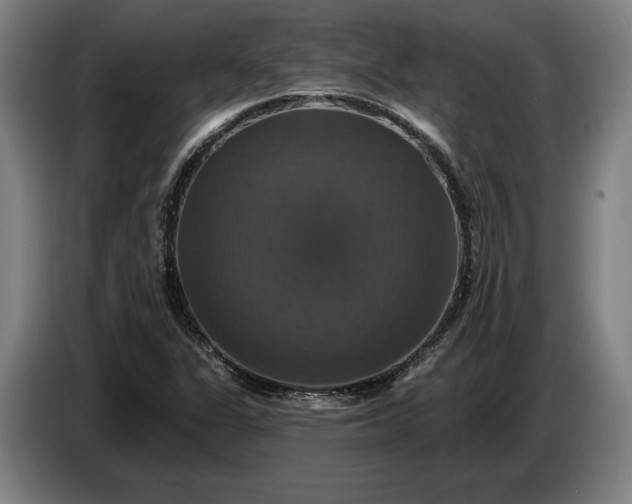 X0000087411311200705041240