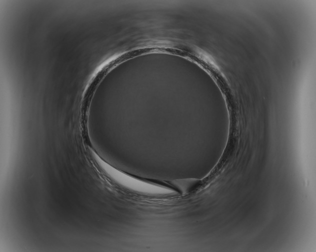 X0000087411312200705041240