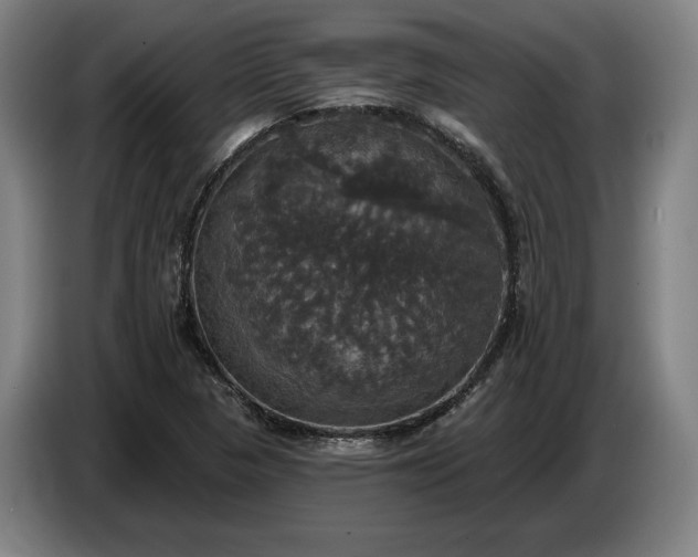 X0000087411313200705041240