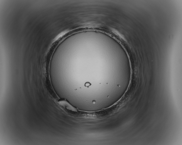 X0000087411315200705041240