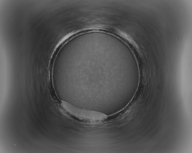 X0000087411316200705041240