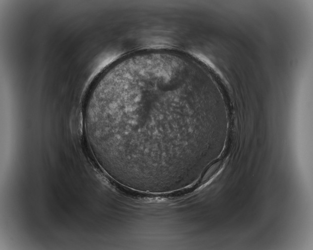 X0000087411317200705041240