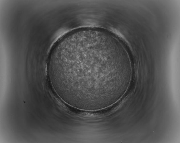 X0000087411318200705041240