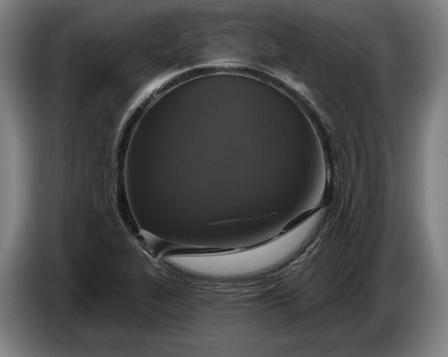 X0000087411319200705041240