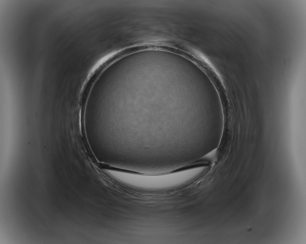 X0000087411320200705041240