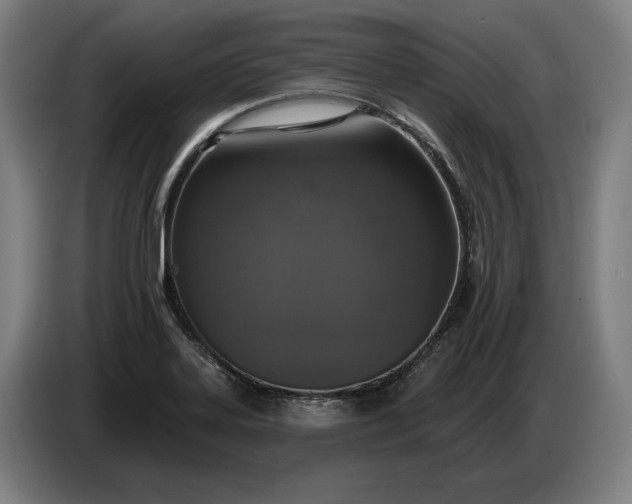 X0000087411323200705041240