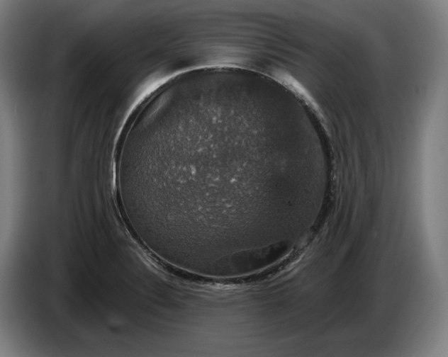 X0000087411324200705041240